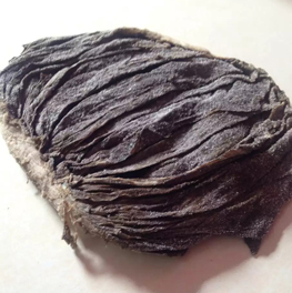 Omasum – Premium Quality Buffalo Omasum