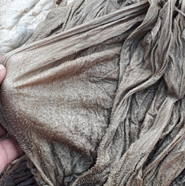 Buffalo Dry Frozen Omasum